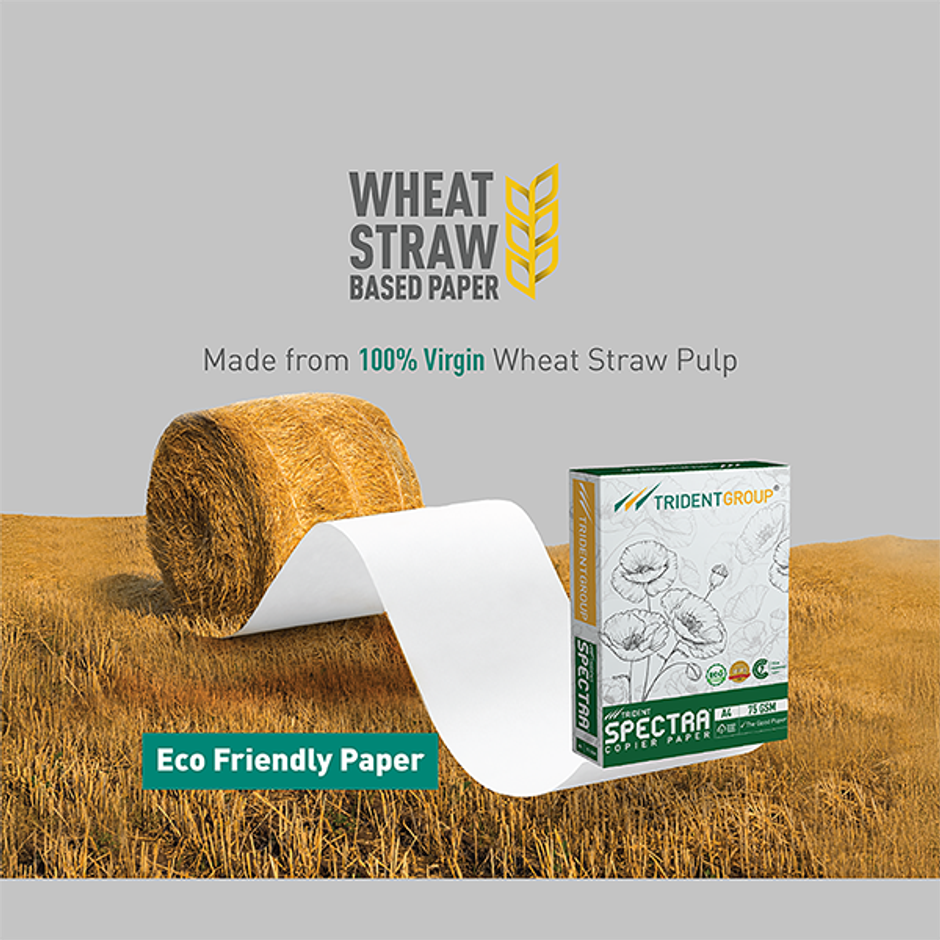 Trident A4 Copier Paper Spectra (75 gsm)