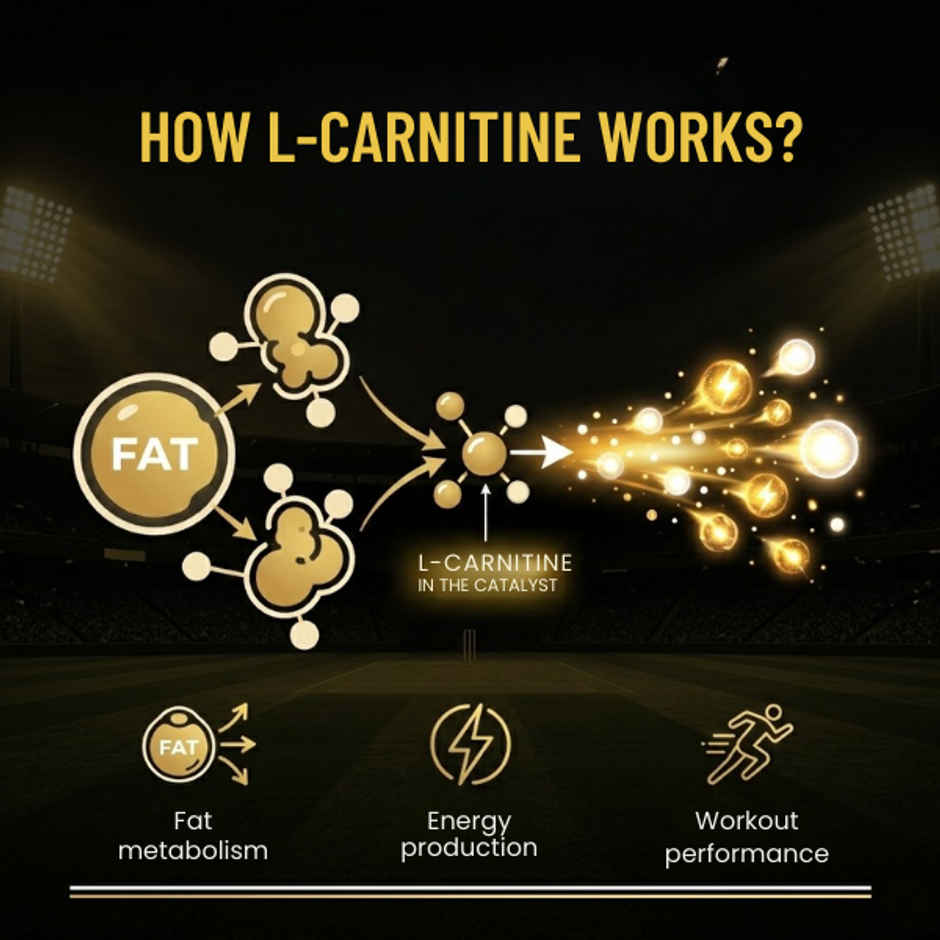 Pure Nutrition L-Carnitine 3300mg Liquid | Valencia Orange | Fat Burn & Energy