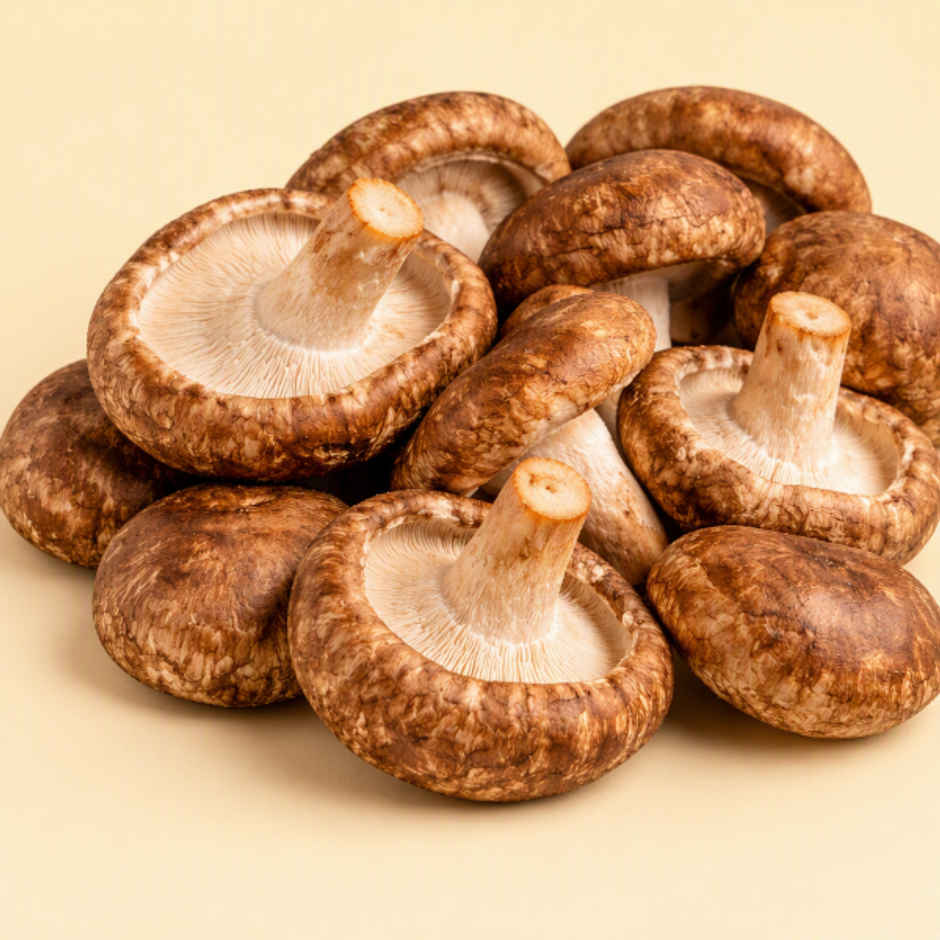 Mushroom Shiitake