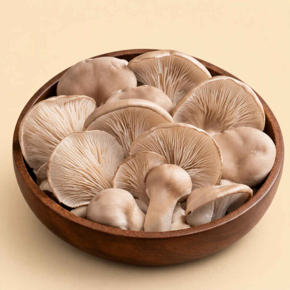 Mushroom Oyster
