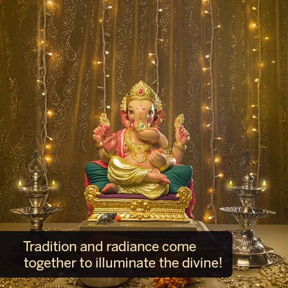 Halonix 46 Led Twinkle Yellow String Light Combo | Yellow | 10 m