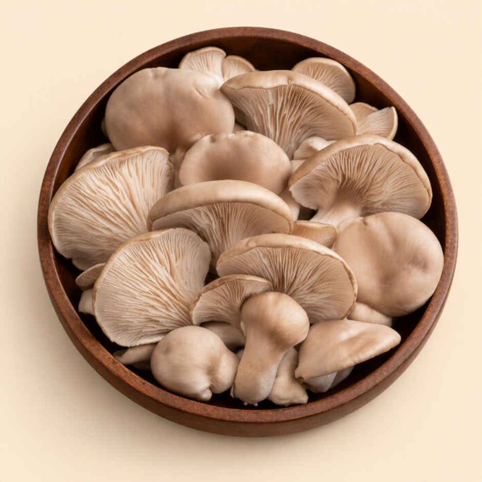 Mushroom Oyster