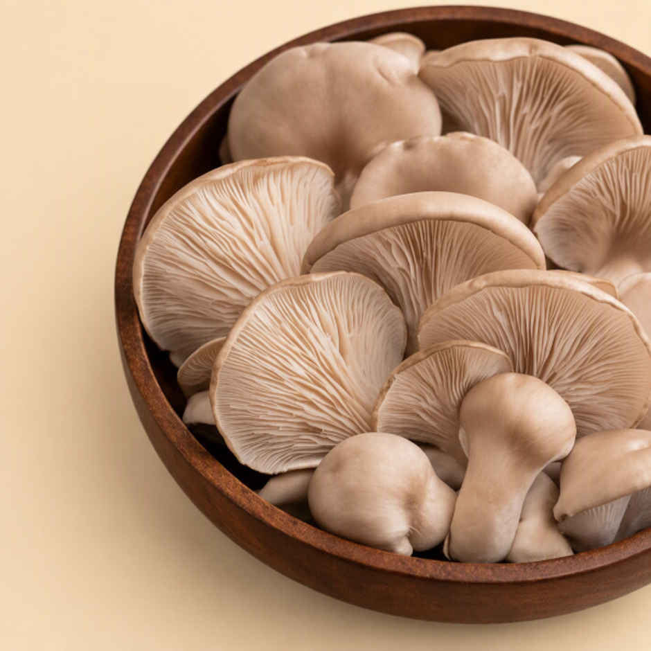 Mushroom Oyster