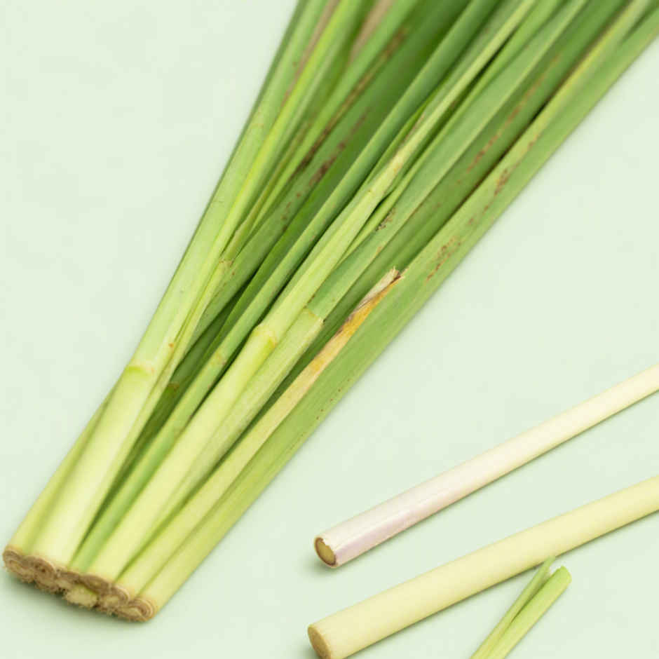 Lemongrass