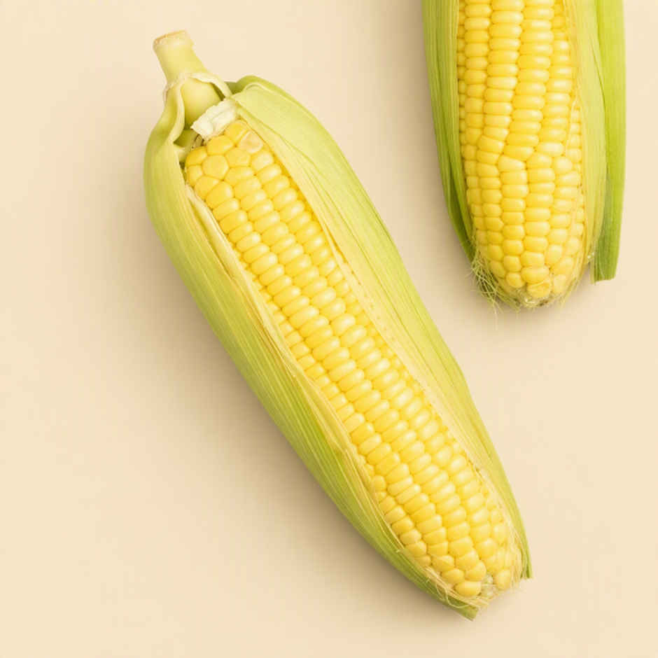 Organically Grown Sweet Corn