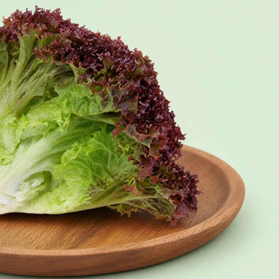 Lettuce Red