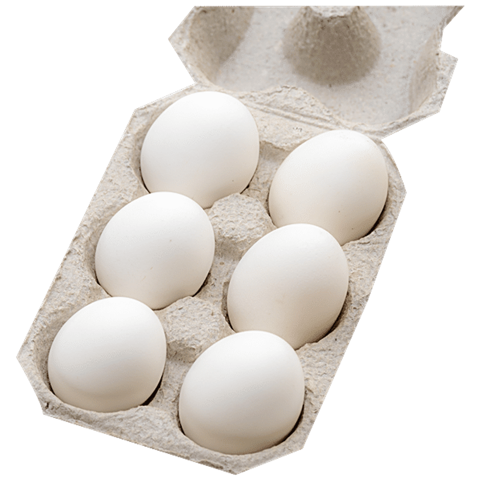 Ovo Farms On-Day White Eggs