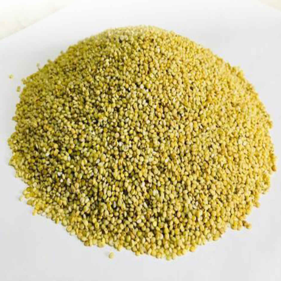 Nutritious Brown Top Millets