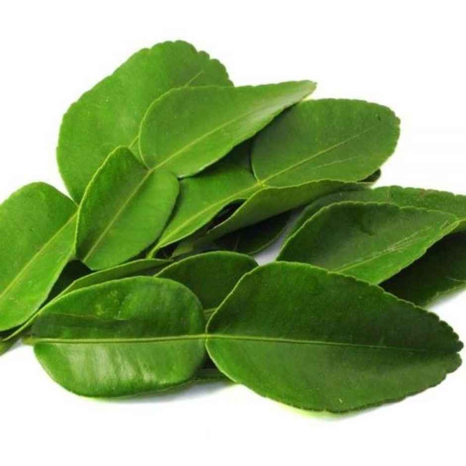 Lemon Leaves