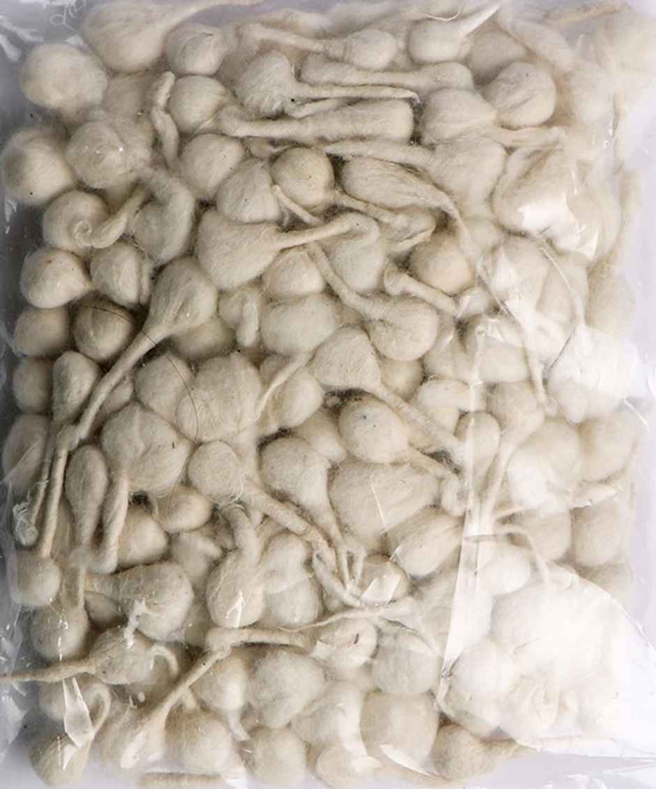 Jai Kashi Round/ Flower Cotton Wicks