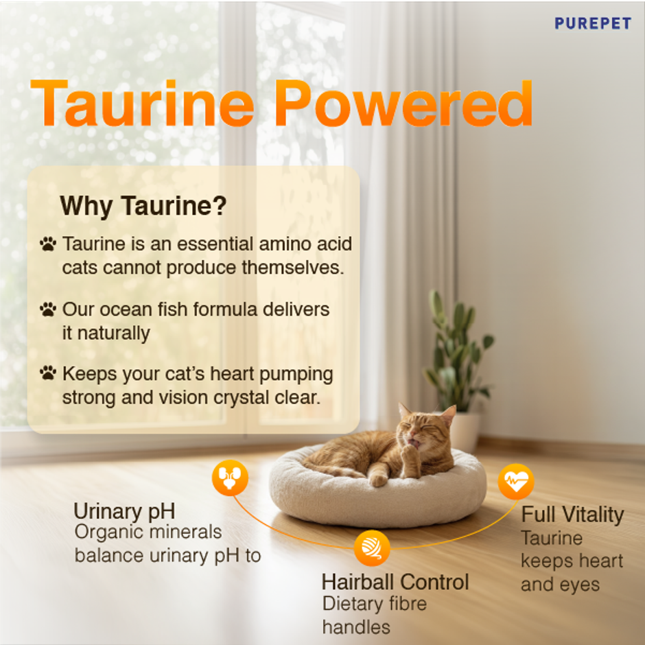 Purepet Sea FOOD Adult Cat FOOD
