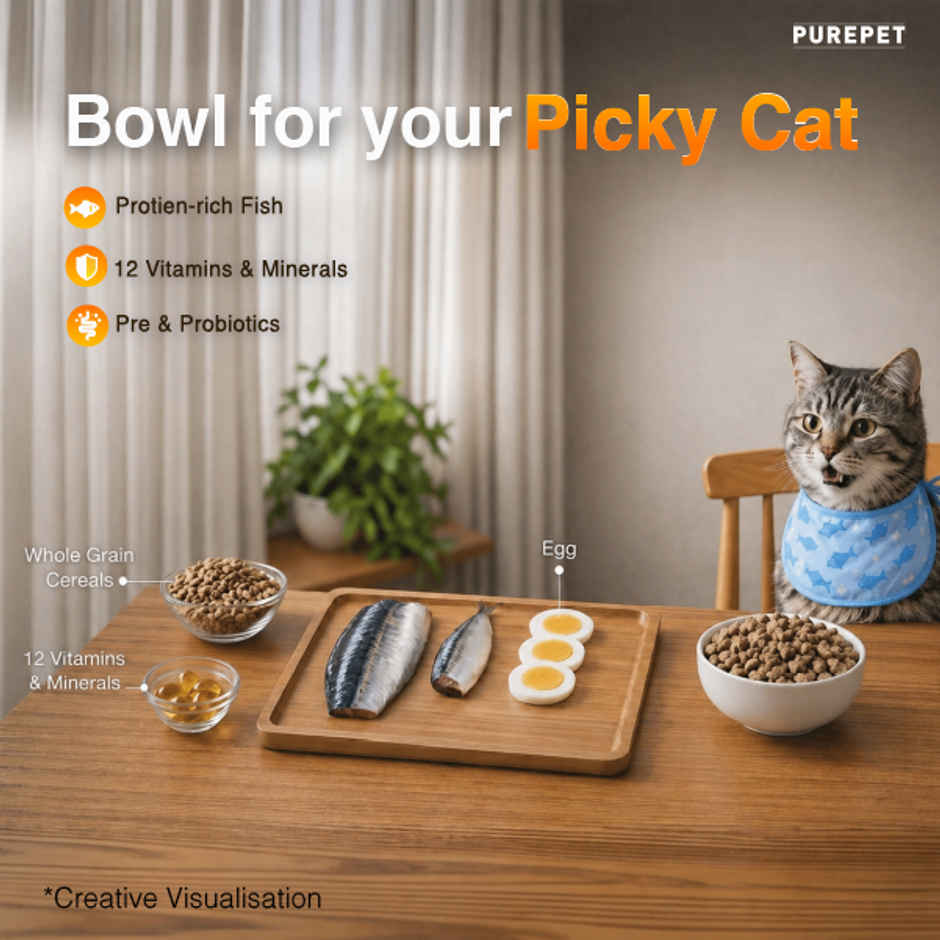 Purepet Sea FOOD Adult Cat FOOD