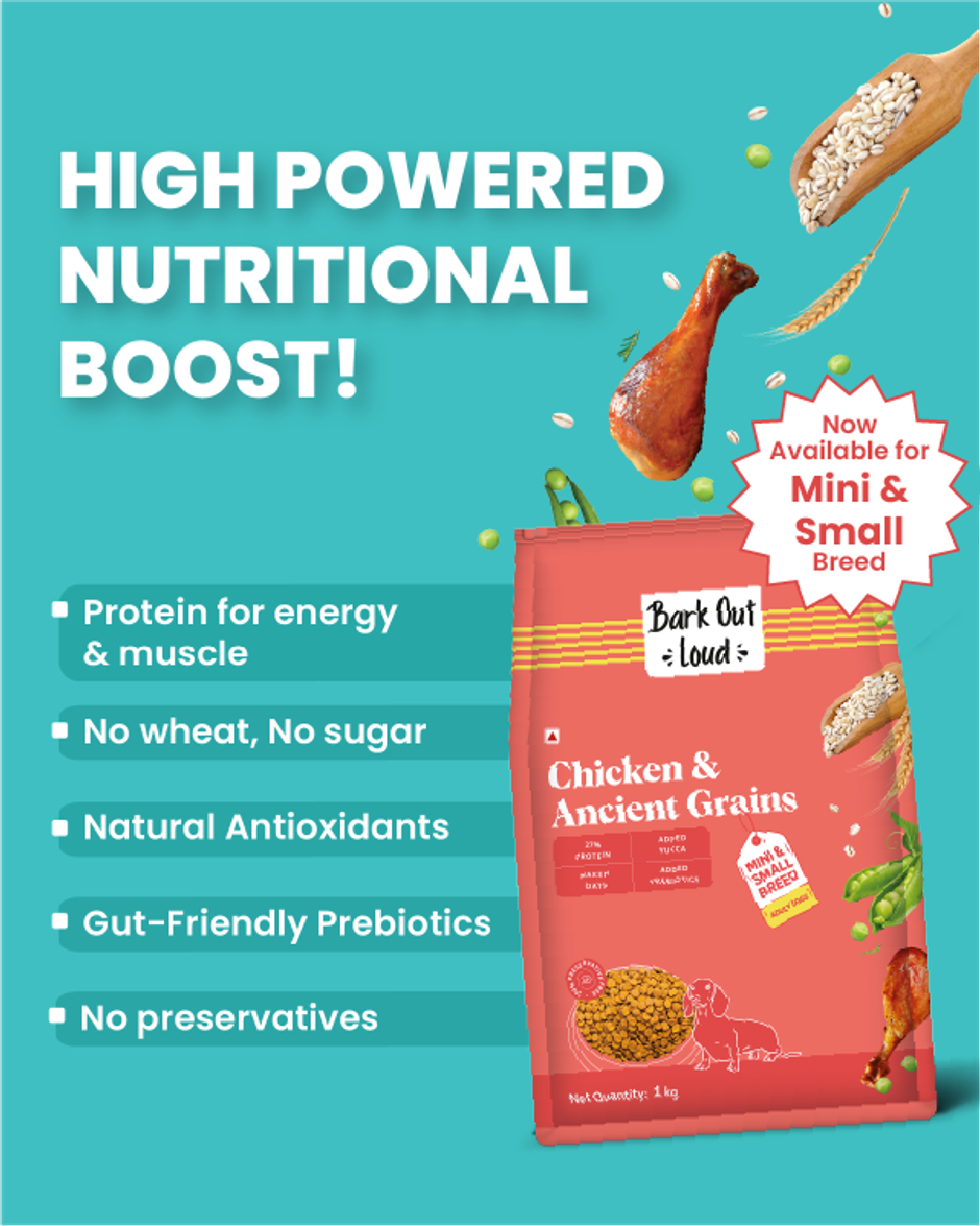Bark Out Loud | Chicken & Ancient Grains Dog Food for Mini/Small Breed | Made in Belgium Kibbles