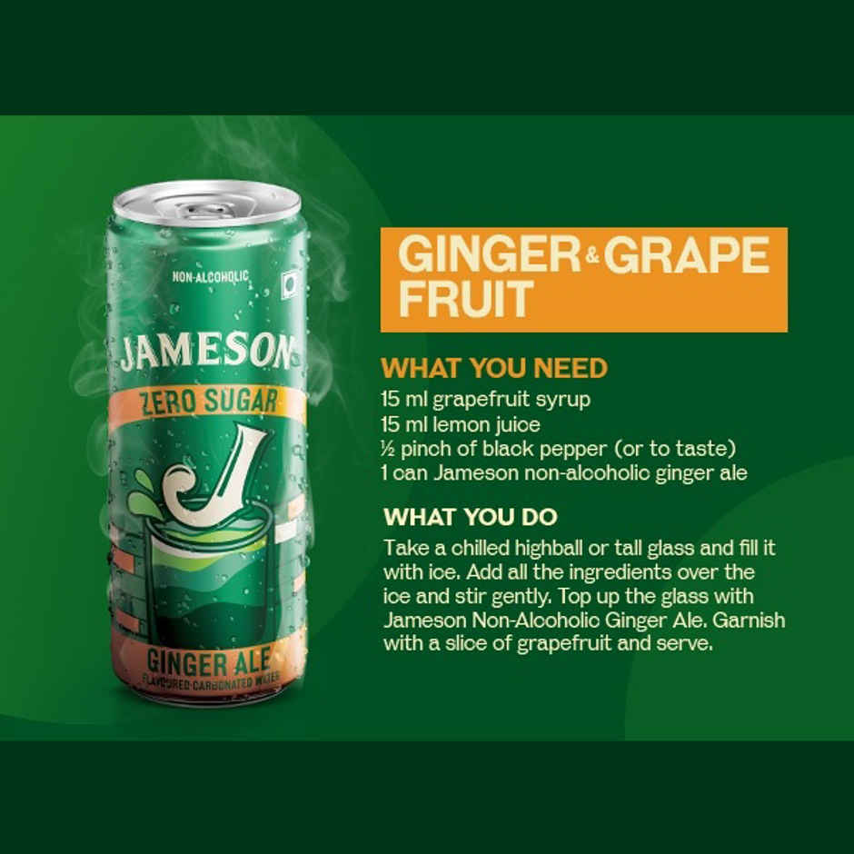 Chyll Party Ice Cubes (Tubes) | Assorted & Jameson Zero Sugar Ginger Ale Combo