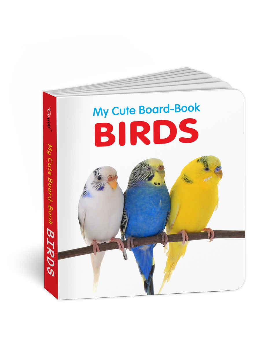 My Cute Board Book Birds | Toddler Learning Picture Book | Pocket Size Educational Book for Kids