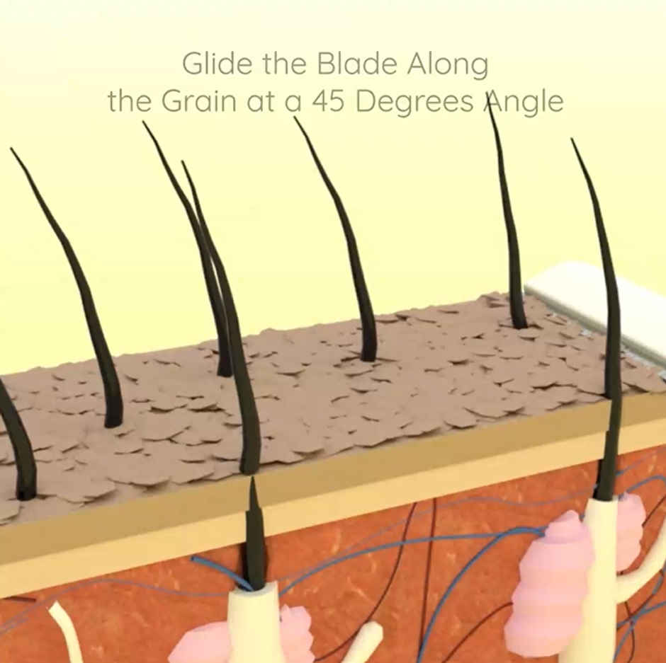 LetsShave Face Razor for Women | Painless Hair Removal for Face, Eyebrows, Upperlips, Chin