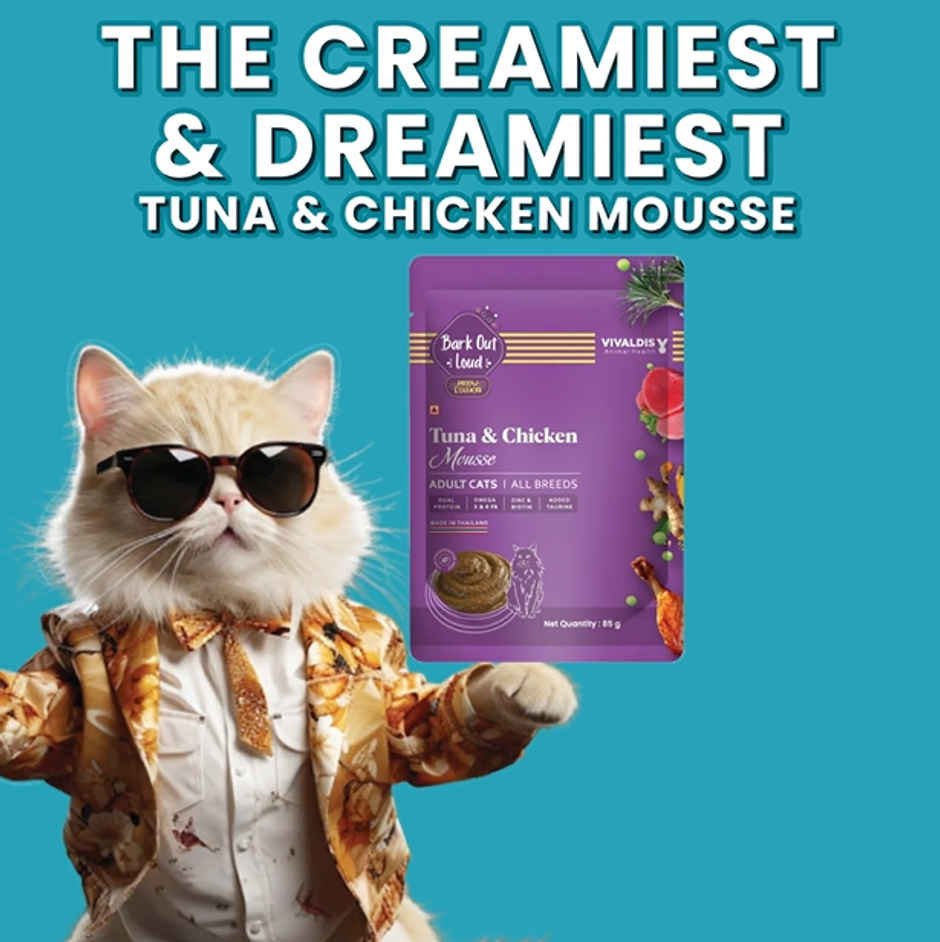Bark Out Loud | Fresh Tuna And Chicken Mousse | Adult Cat Wet Food Gravy (510g) & Bark Out Loud Cat Pillows - Hairball Control Cat Treats - Made In Spain With Added Taurine &Vitamin E (100g) Combo