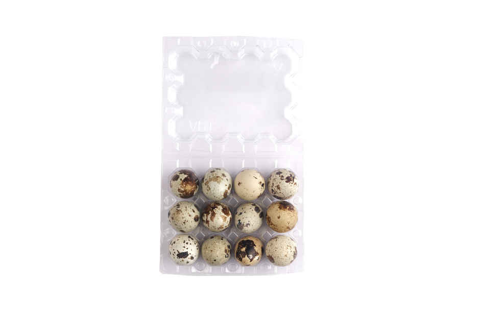 Nila Quail Eggs