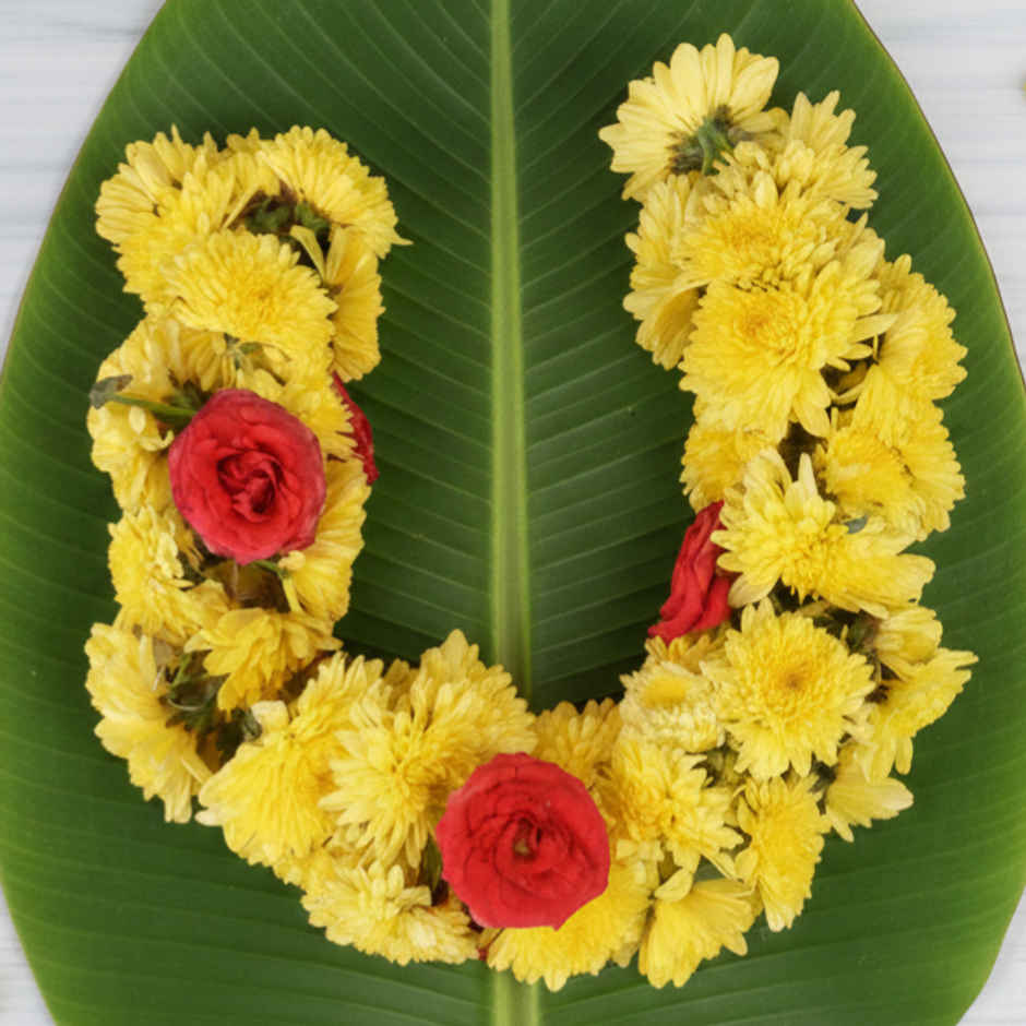 Fresh Chrysanthemum Flower String Combo