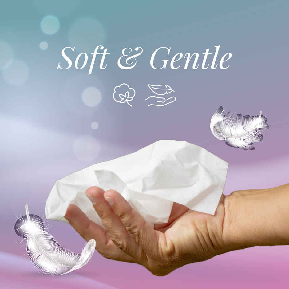 Origami Soft Facial Tissues, Buy 3 Get 3 Free (Pack of 6), 100 pulls in each pack