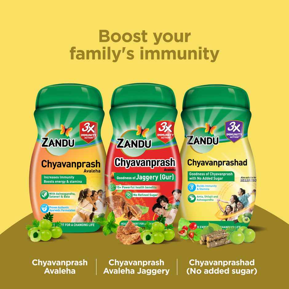 Zandu Chavanprashad Sugar Free Chyawanprash with Amla, No Added Sugar, Ashwagandha & Shilajit