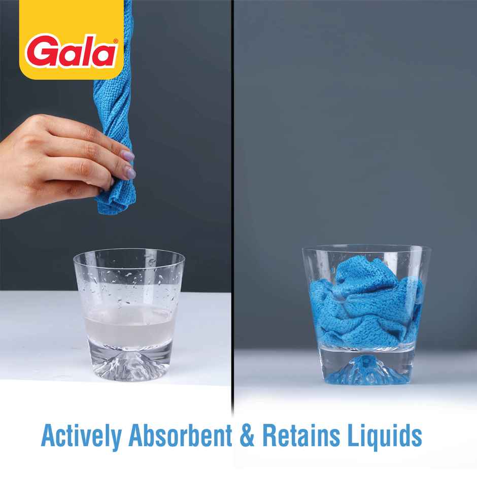 Gala Actifiber Kitchen Sponge Cloth, Multicolor