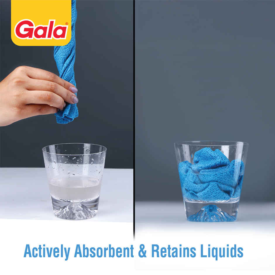 Gala Actifiber Kitchen Sponge Cloth, Multicolor