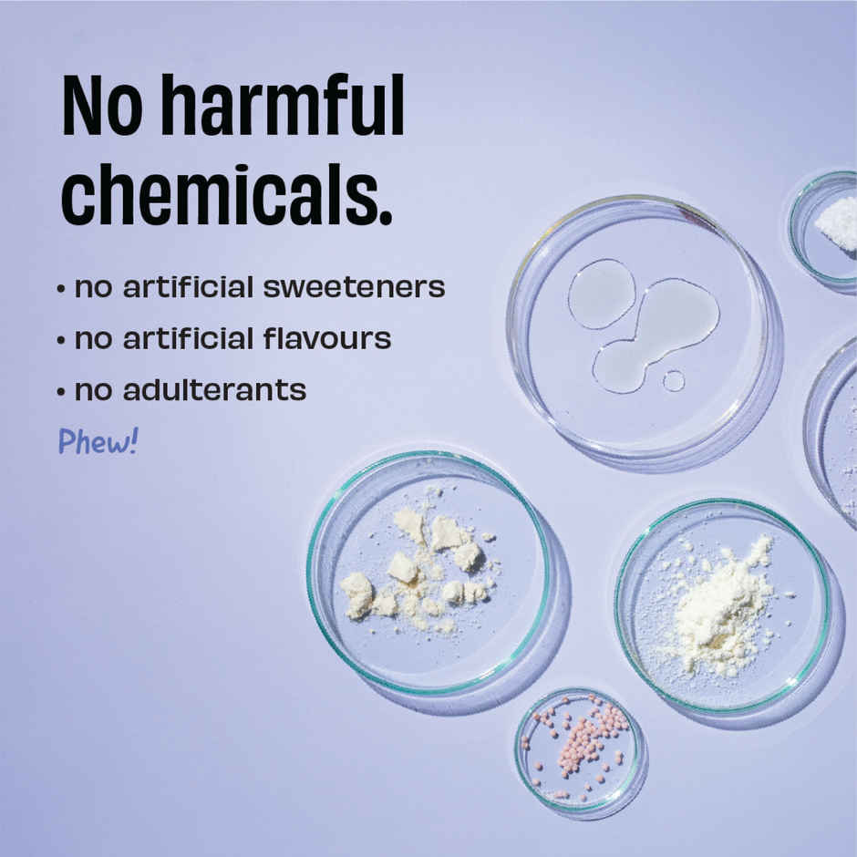 The Whole Truth Whey Protein Powder Light Cocoa (24g Protein Per Scoop) Combo