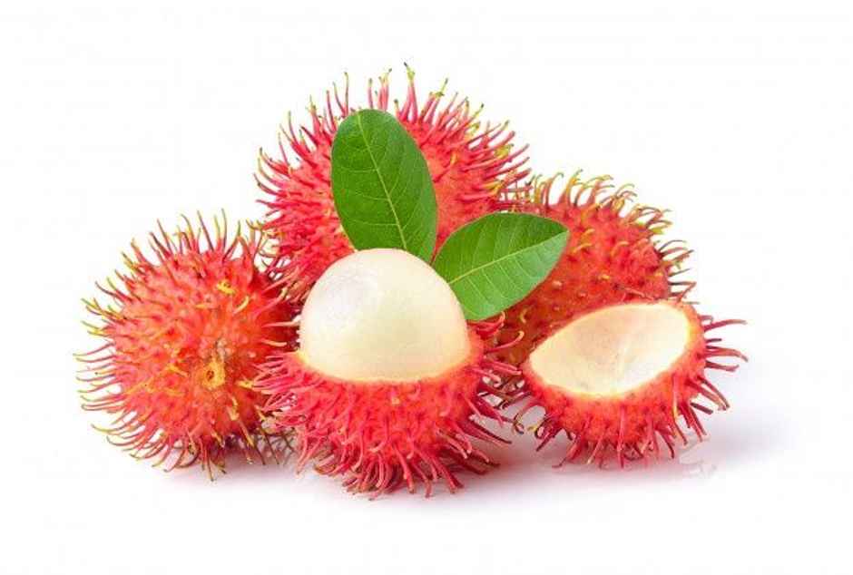 Rambutan Premium