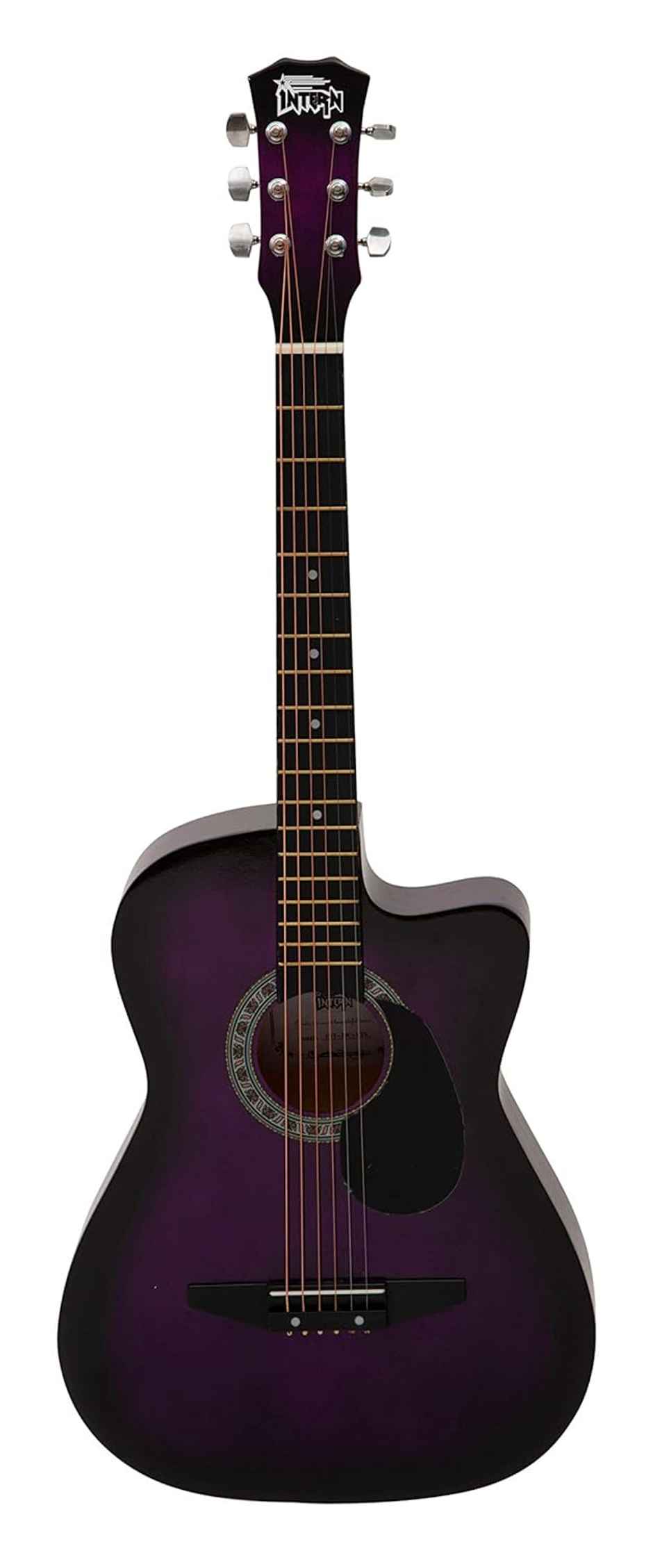 Intern Int-38C-Vt-G 38 Inch Right Handed Lindenwood Glossy Acoustic Guitar Kit | Violet