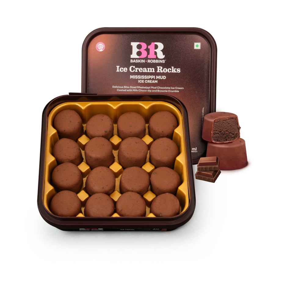 Baskin Robbins Rocks Missisipi Mud Ice Cream Bites