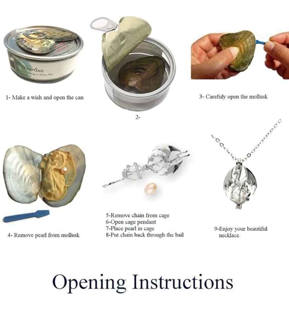Mystery Pearl Gift Set | Heart Cage Necklace Real Pearl Romantic Surprise | Perpetual Mart