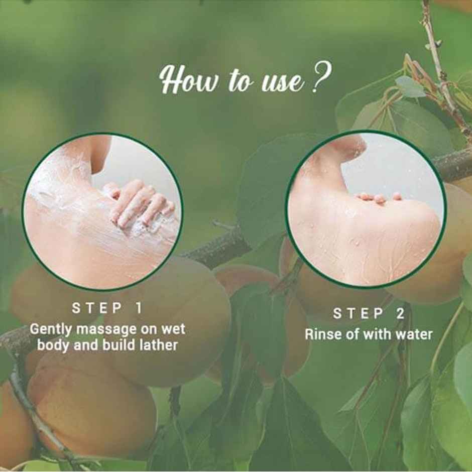 Biotique Apricot Refreshing Body Wash