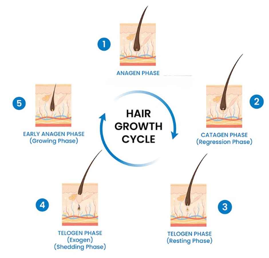 Tata 1mg Minoxidil 2% Topical Solution