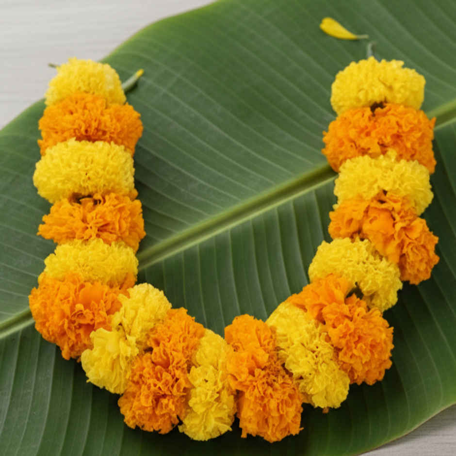 Fresh Marigold Flower String Combo