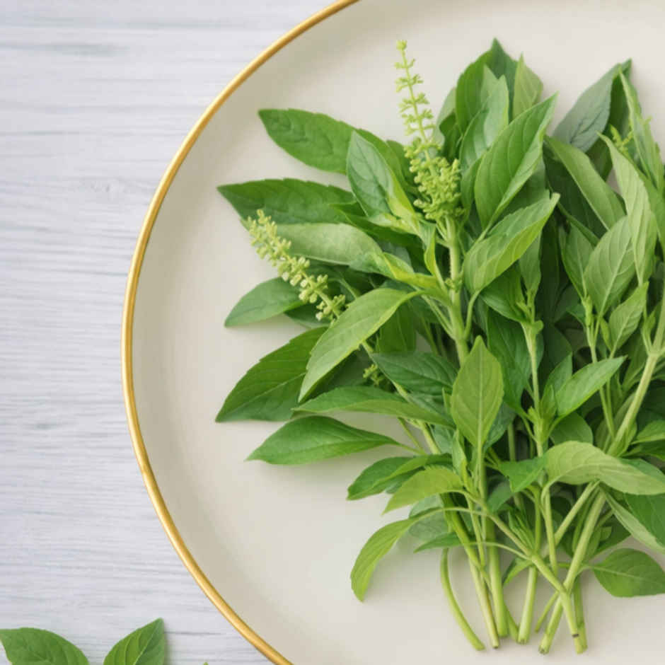 Thai Sweet Basil