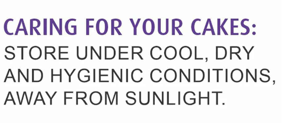 Winkies Authentic Plum Cake