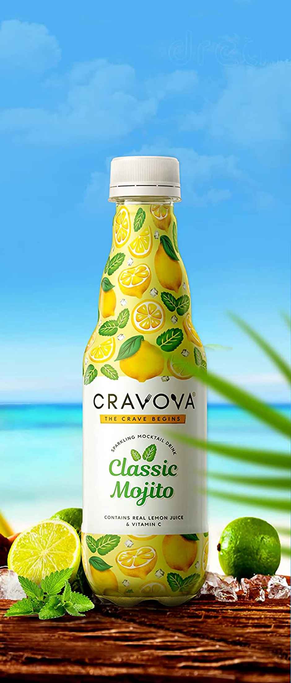 Cravova Classic Mojito(300ml) & Cravova Peach Mojito(300ml) Combo