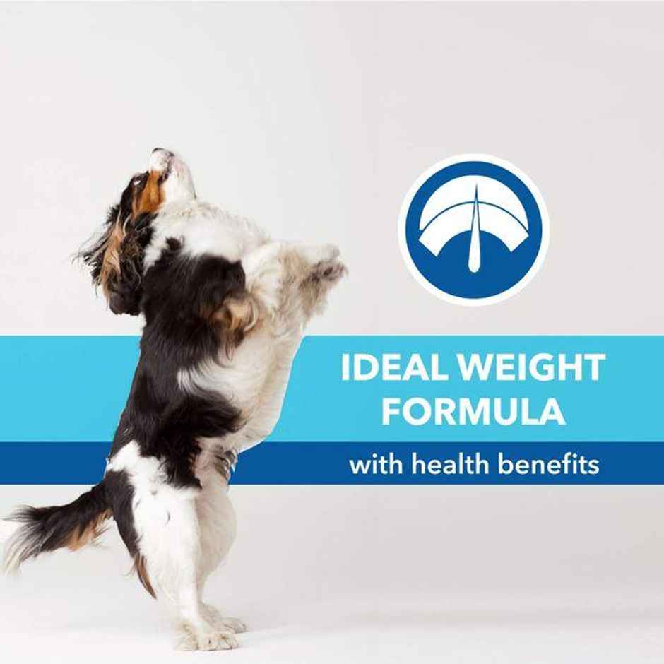 Purepet Chicken & Veg Puppy Dry Dog Food