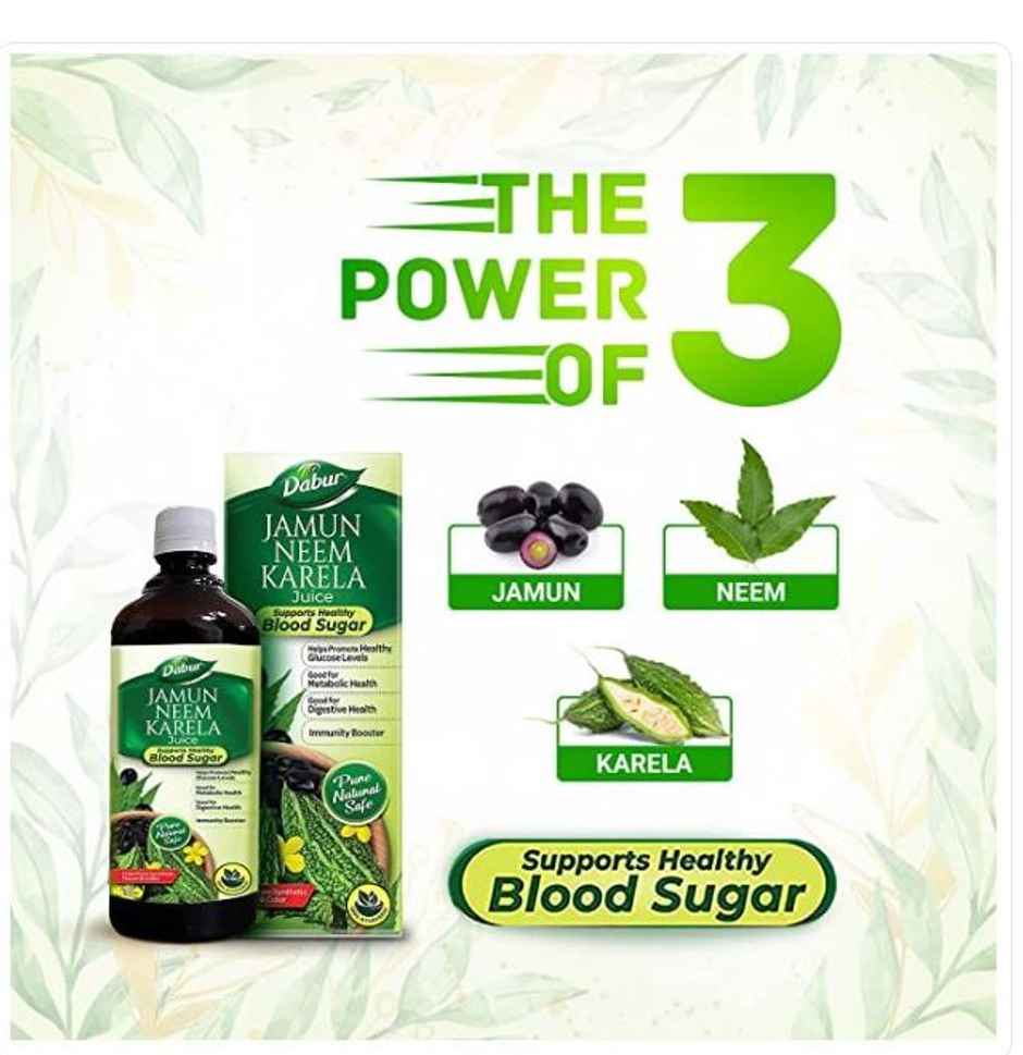 Dabur Jamun Neem Karela Ayurvedic Juice