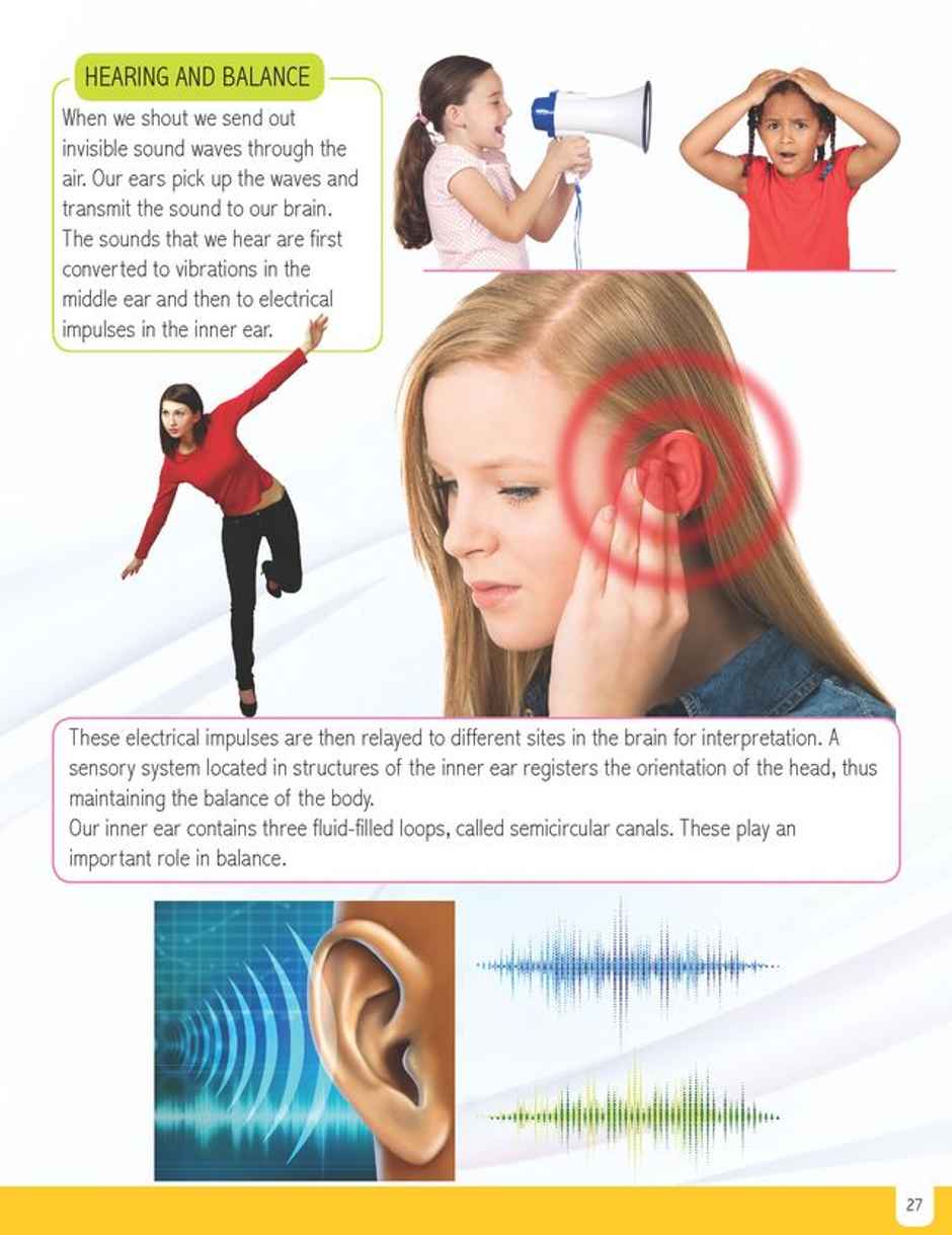 Human Body Minipedia | Knowledge Encyclopedia For Children, Encyclopedia Book for Kid