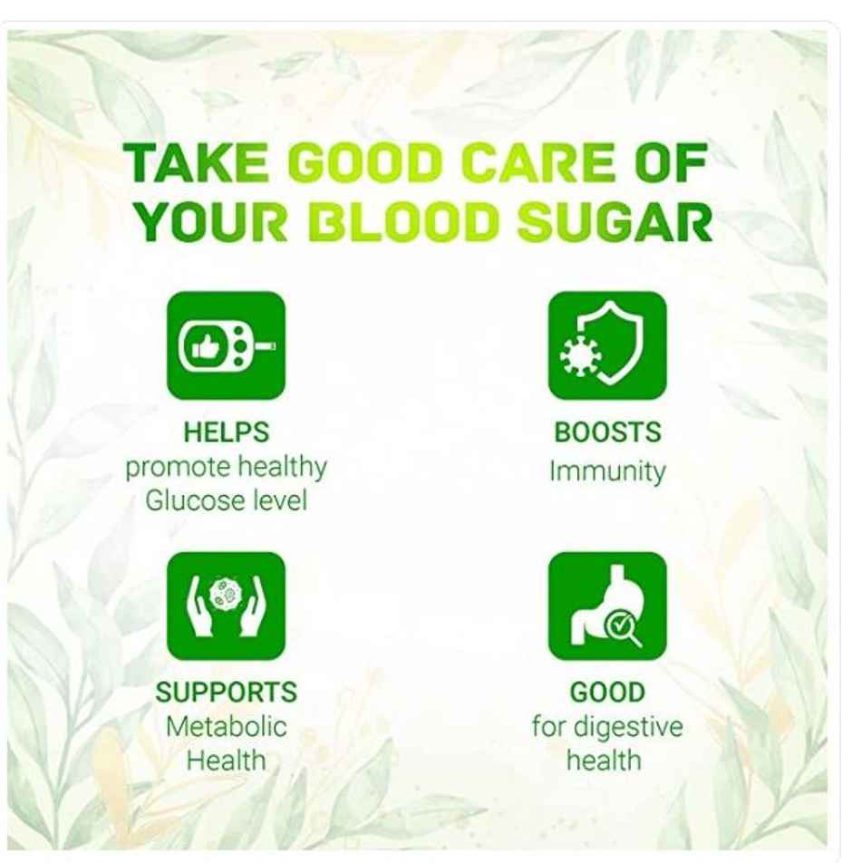 Dabur Jamun Neem Karela Ayurvedic Juice