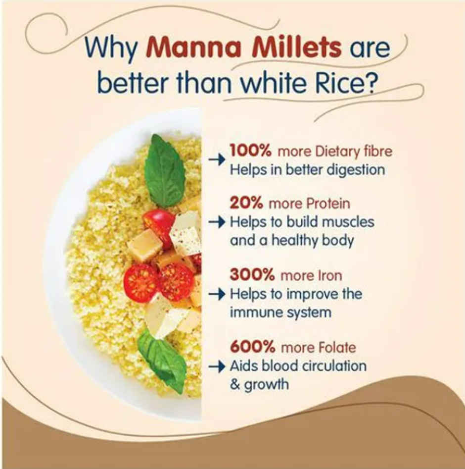 Manna Little Millet