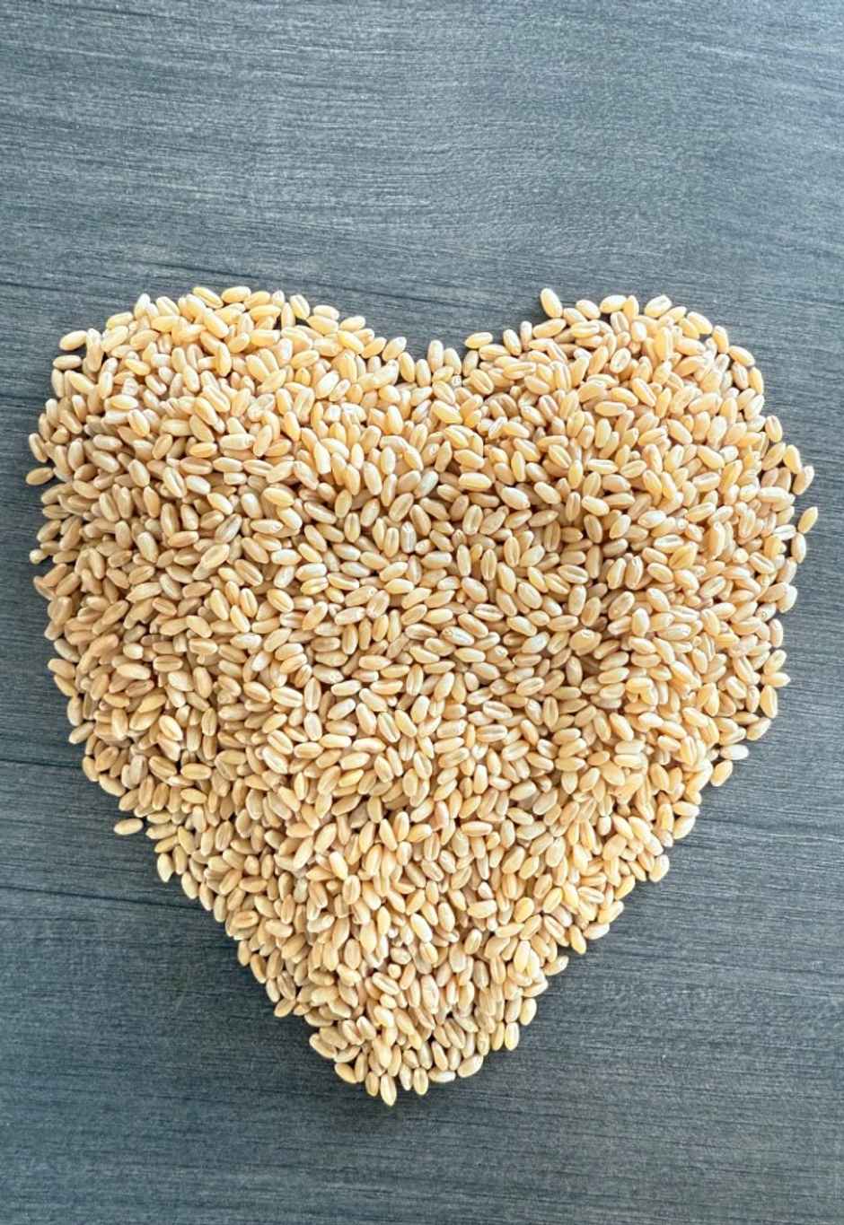 MP's Best Sehori Sharbati Wheat / Gehun / Gehu