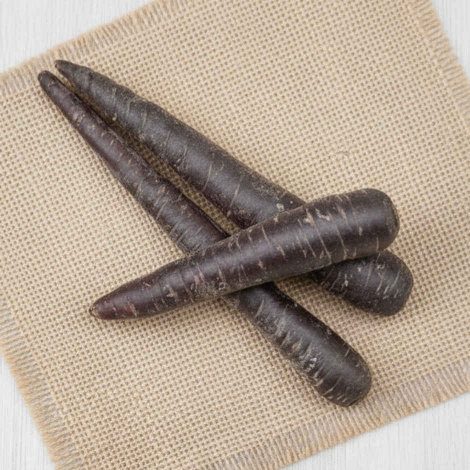 Carrot Black