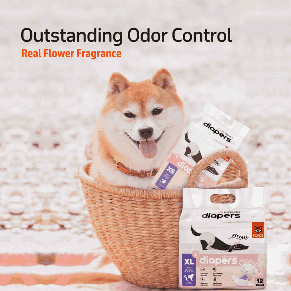 FOFOS Disposable Male Dog Diaper S (12 Pcs) Waist Size 19-37cm | Dog Diapers For Heat and Pee