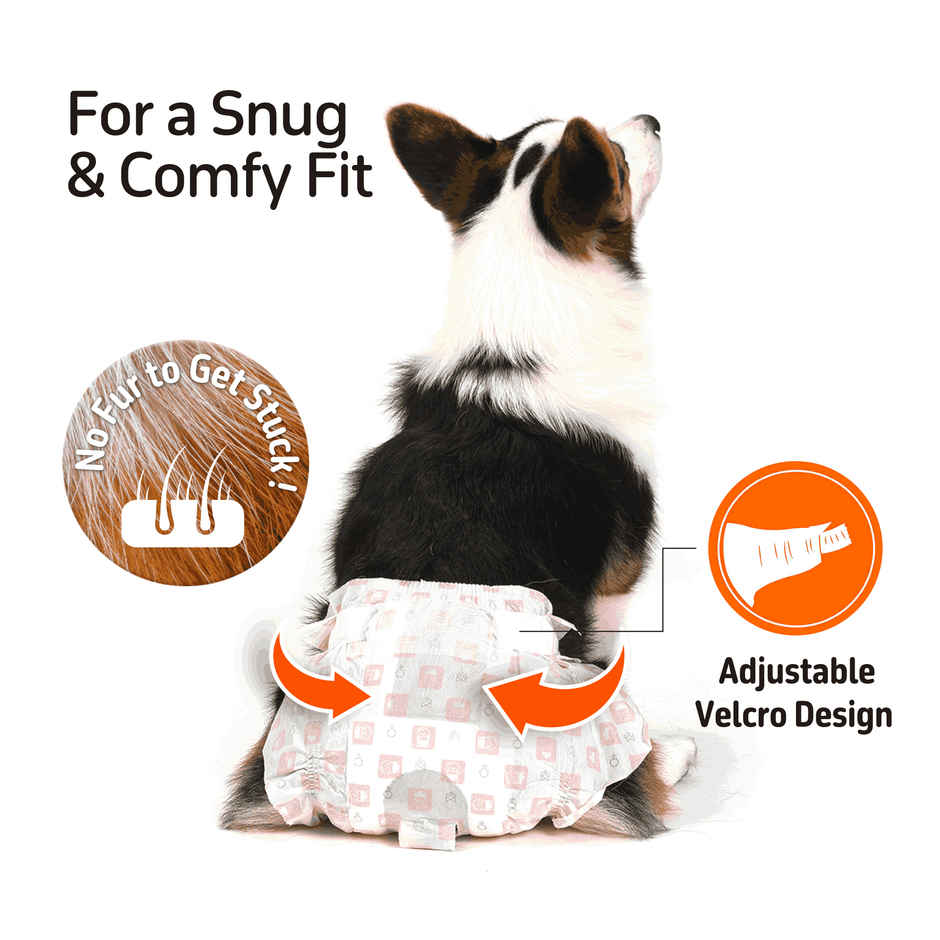 FOFOS Disposable Male Dog Diapers L (8 Pcs) Waist Size 28-50cm | Dog Diapers For Heat and Pee