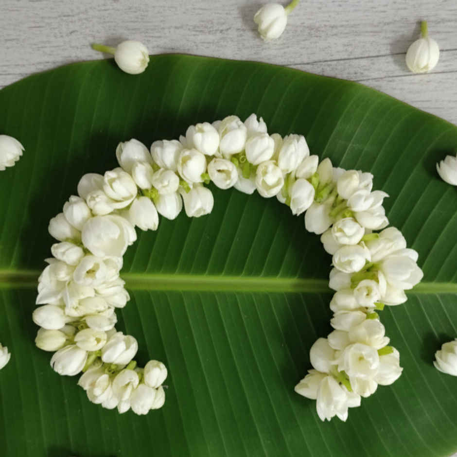 Jasmine String (Gajra)