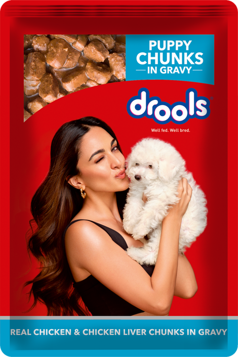 Drools Puppy Wet Dog Food Chicken And Chicken Liver Chunks In Gravy (10 + 2 Pouches Free)