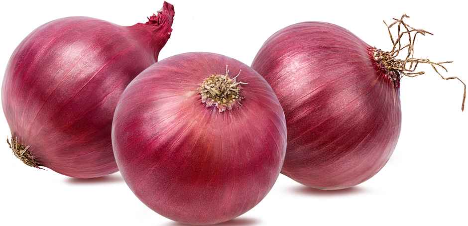 Onion